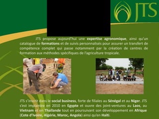 	JTS propose aujourd’hui une expertise agronomique, ainsi qu’un catalogue de formations et de suivis personnalisés pour assurer un transfert de compétence complet qui passe notamment par la création de centres de formation aux méthodes spécifiques de l’agriculture tropicale.JTS s’inscrit dans le social business, forte de filiales au Sénégal et au Niger. JTS s’est implantée en 2010 en Egypte et ouvre des joint-ventures au Laos, au Vietnam et en Thaïlande tout en poursuivant son développement en Afrique (Cote d’Ivoire, Algérie, Maroc, Angola) ainsi qu’en Haïti.