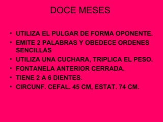 DOCE MESES  UTILIZA EL PULGAR DE FORMA OPONENTE. EMITE 2 PALABRAS Y OBEDECE ORDENES SENCILLAS UTILIZA UNA CUCHARA, TRIPLICA EL PESO. FONTANELA ANTERIOR CERRADA. TIENE 2 A 6 DIENTES. CIRCUNF. CEFAL. 45 CM, ESTAT. 74 CM. 