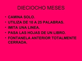 DIECIOCHO MESES CAMINA SOLO. UTILIZA DE 10 A 25 PALABRAS. IMITA UNA LINEA. PASA LAS HOJAS DE UN LIBRO. FONTANELA ANTERIOR TOTALMENTE CERRADA. 