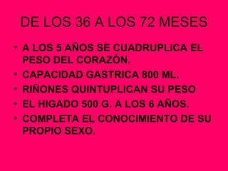 DE LOS 36 A LOS 72 MESES A LOS 5 AÑOS SE CUADRUPLICA EL PESO DEL CORAZÓN. CAPACIDAD GASTRICA 800 ML. RIÑONES QUINTUPLICAN SU PESO EL HIGADO 500 G. A LOS 6 AÑOS. COMPLETA EL CONOCIMIENTO DE SU PROPIO SEXO. 