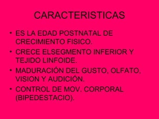 CARACTERISTICAS ES LA EDAD POSTNATAL DE CRECIMIENTO FISICO. CRECE ELSEGMENTO INFERIOR Y TEJIDO LINFOIDE. MADURACIÓN DEL GUSTO, OLFATO, VISION Y AUDICIÓN. CONTROL DE MOV. CORPORAL (BIPEDESTACIO). 