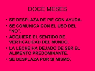 DOCE MESES SE DESPLAZA DE PIE CON AYUDA. SE COMUNICA CON EL USO DEL “NO”. ADQUIERE EL SENTIDO DE VERTICALIDAD DEL MUNDO. LA LECHE HA DEJADO DE SER EL ALIMENTO PREDOMINANTE. SE DESPLAZA POR SI MISMO. 