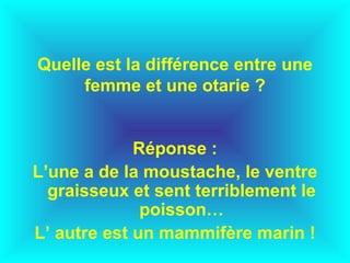 Quelle est la différence entre une femme et une otarie ? Réponse : L’une a de la moustache, le ventre graisseux et sent terriblement le poisson… L’ autre est un mammifère marin ! 