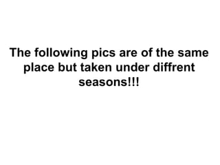 The following pics are of the same
place but taken under diffrent
seasons!!!
 