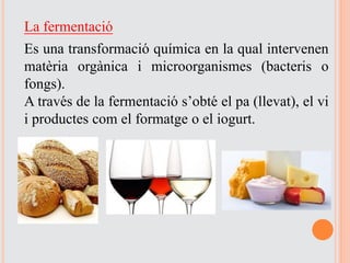 La fermentació
Es una transformació química en la qual intervenen
matèria orgànica i microorganismes (bacteris o
fongs).
A través de la fermentació s’obté el pa (llevat), el vi
i productes com el formatge o el iogurt.
 