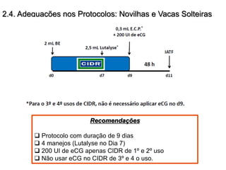 2.4. Adequações nos Protocolos: Novilhas e Vacas Solteiras 
Recomendações 
q Protocolo com duração de 9 dias 
q 4 manejos (Lutalyse no Dia 7) 
q 200 UI de eCG apenas CIDR de 1º e 2º uso 
q Não usar eCG no CIDR de 3º e 4 o uso. 
 