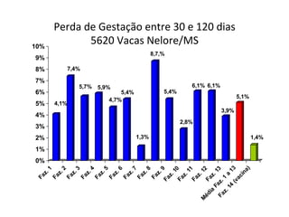 Perda 
de 
Gestação 
entre 
30 
e 
120 
dias 
5620 
Vacas 
Nelore/MS 
7,4% 
4,1% 
5,7% 5,9% 
5,4% 
4,7% 
1,3% 
8,7,% 
5,4% 
6,1% 6,1% 
2,8% 
3,9% 
5,1% 
1,4% 
10% 
9% 
8% 
7% 
6% 
5% 
4% 
3% 
2% 
1% 
0% 
Faz. 1 
Faz. 2 
Faz. 3 
Faz. 4 
Faz. 5 
Faz. 6 
Faz. 7 
Faz. 8 
Faz. 9 
Média Faz. 1 a 13 
Faz. 14 (vacina) 
Faz. 10 
Faz. 11 
Faz. 12 
Faz. 13 
 