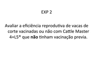 EXP 
2 
Avaliar 
a 
eficiência 
reproduMva 
de 
vacas 
de 
corte 
vacinadas 
ou 
não 
com 
Cafle 
Master 
4+L5® 
que 
não 
Mnham 
vacinação 
previa. 
 