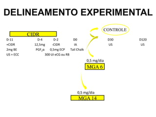 DELINEAMENTO EXPERIMENTAL 
CIDR 
D-­‐11 
D-­‐4 
D-­‐2 
D0 
D30 
D120 
+CIDR 
12,5mg 
-­‐CIDR 
IA 
US 
US 
2mg 
BE 
MGA 6 
MGA 14 
CONTROLE 
0,5 
mg/dia 
0,5 
mg/dia 
PGF2α 
0,5mg 
ECP 
Tail 
Chalk 
US 
+ 
ECC 
300 
UI 
eCG 
ou 
RB 
 