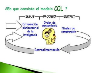 09 modelo-col (1)