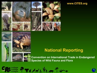 1
Convention on International Trade in Endangered
Species of Wild Fauna and Flora
www.CITES.org
National Reporting
 