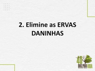 2. Elimine as ERVAS
DANINHAS
 