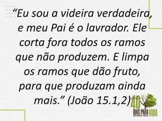 “Eu sou a videira verdadeira,
e meu Pai é o lavrador. Ele
corta fora todos os ramos
que não produzem. E limpa
os ramos que dão fruto,
para que produzam ainda
mais.” (João 15.1,2)
 