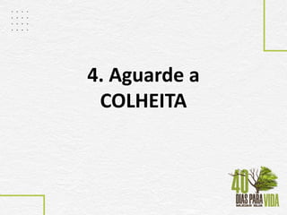 4. Aguarde a
COLHEITA
 
