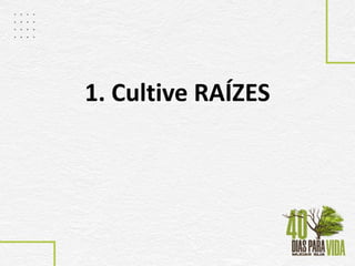 1. Cultive RAÍZES
 