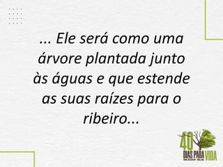 ... Ele será como uma
árvore plantada junto
às águas e que estende
as suas raízes para o
ribeiro...
 