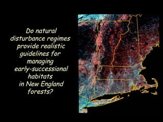 Do natural disturbance regimes  provide realistic guidelines for  managing  early-successional habitats  in New England forests?  