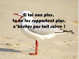 Retrouvez les meilleurs diaporamas PPS
d’humour et de divertissement sur
http://www.diaporamas-a-la-con.com
Si toi non plus,
tu ne les supportent plus,
n’hésites pas fait suivre !