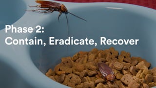 Phase 2: 
Contain, Eradicate, Recover
 