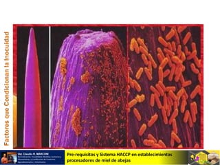 Pre-requisitos y Sistema HACCP en establecimientos
procesadores de miel de abejas
 