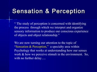 what is the relationship between sensation and perception