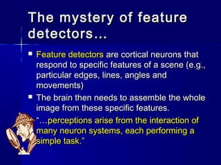 The mystery of feature
detectors…
   Feature detectors are cortical neurons that
    respond to specific features of a sc...