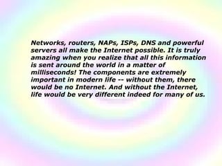 Networks, routers, NAPs, ISPs, DNS and powerful servers all make the Internet possible. It is truly amazing when you realize that all this information is sent around the world in a matter of milliseconds! The components are extremely important in modern life -- without them, there would be no Internet. And without the Internet, life would be very different indeed for many of us.  