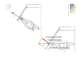 C tComponente
considerada
Direção da força
 