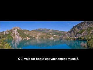 Qui vole un boeuf est vachement musclé. 