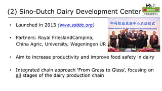 (2) Sino-Dutch Dairy Development Center
• Launched in 2013 (www.sdddc.org)
• Partners: Royal FrieslandCampina,
China Agric. University, Wageningen UR
• Aim to increase productivity and improve food safety in dairy
• Integrated chain approach ‘From Grass to Glass’, focusing on
all stages of the dairy production chain
 