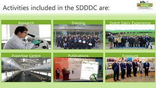 Training
Activities included in the SDDDC are:
Dutch Dairy Experience
Exposure
Research
PublicationsExpertise Centre
 