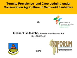 Termite Prevalence and Crop Lodging under
Conservation Agriculture in Semi-arid Zimbabwe



                              By




      Eleanor F Mutsamba, Nyagumbo, I, and Mafongoya, P.M
                        Dpt of SSAE-UZ




                            CIRAD
 