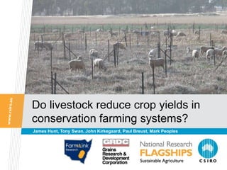 Do livestock reduce crop yields in
conservation farming systems?
James Hunt, Tony Swan, John Kirkegaard, Paul Breust, Mark Peoples
 