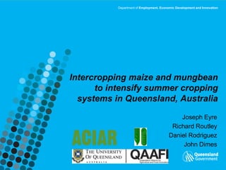 Department of Employment, Economic Development and Innovation




Intercropping maize and mungbean
      to intensify summer cropping
  systems in Queensland, Australia

                                             Joseph Eyre
                                          Richard Routley
                                         Daniel Rodriguez
                                              John Dimes
 