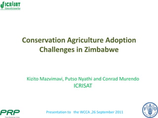 Conservation Agriculture Adoption
    Challenges in Zimbabwe


 Kizito Mazvimavi, Putso Nyathi and Conrad Murendo
                        ICRISAT



         Presentation to the WCCA ,26 September 2011
 