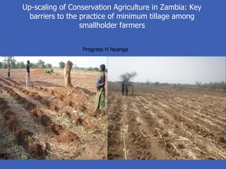 Up-scaling of Conservation Agriculture in Zambia: Key
  barriers to the practice of minimum tillage among
                  smallholder farmers


                 Progress H Nyanga
 