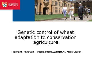 Genetic control of wheat
 adaptation to conservation
         agriculture
Richard Trethowan, Tariq Mahmood, Zulfiqar Ali, Klaus Oldach
 