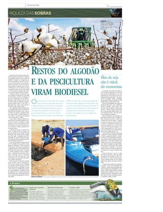 economia                                                                                                                                                                               »       www.jc.com.br/economia




   RIQUEZA DAS SOBRAS




                                                                                                                                                                                                                                                                         J.F.Diorio/AE
                                                                                                                                                                                                                      SOBRAS Caroço de
                                                                                                                                                                                                                      algodão é esmagado para
                                                                                                                                                                                                                      produzir farelo destinado
                                                                                                                                                                                                                      à ração animal. O óleo
                                                                                                                                                                                                                      restante é transformado
                                                                                                                                                                                                                      em biodiesel




   A cooperativa de Curupati, que reúne 53 fa-
mílias de pescadores do Açude do Castanhão,
em Jaguaribara, Sertão do Ceará, produz 50
                                                   RESTOS DO ALGODÃO                                                                                                                                                  Óleo de soja
toneladas de tilápias em tanques-rede por
mês. Cinco toneladas, ou seja, 10% são de vís-
ceras. No início do projeto, cinco anos atrás, o
resíduo era enterrado no entorno do açude, ge-
rando problemas ambientais como a imper-
meabilização do solo. Nos últimos dois anos,
                                                   E DA PISCICULTURA                                                                                                                                                  não é viável,
                                                                                                                                                                                                                      diz economista
                                                   VIRAM BIODIESEL
os cooperados acharam um fim mais rentável
e menos impactante: a extração de óleo, vendi-                                                                                                                                                                           O crescimento da produção do biodiesel no
do a usinas de biodiesel e fábricas de sabão.                                                                                                                                                                         País não pode se basear apenas no aumento
   O trabalho é artesanal. As vísceras são cozi-                                                                                                                                                                      da sua principal matéria-prima, que é a soja,
das, permitindo a separação da parte sólida                                                                                                                                                                           responsável por mais de 80% de tudo que é
(35%), destinada à ração ou à adubação. O                                                                                                                                                                             transformado no biocombustível. “Essa expan-
que resta, o equivalente a 65% do volume, é                                                                                                                                                                           são não é sustentável”, define o economista
óleo bruto. O litro é vendido a R$ 0,50. A ren-
da mensal média dos cooperados, segundo o
pescador Francisco Lopes, é de R$ 1.100. “A
gente vende todo o peixe e o óleo, cerca de 2
mil litros por mês, e divide a renda.”
                                                   O        aproveitamento do óleo feito de vísceras de
                                                            peixe e do caroço de algodão, assim como
                                                   o porquê do fracasso da mamona, são os destaques
                                                                                                                   (PNPB), em 2003. Hoje, a planta perdeu espaço não
                                                                                                                   apenas para outras oleaginosas, principalmente a soja,
                                                                                                                   como para subprodutos da pecuária e da indústria. O
                                                                                                                                                                                                                      da Associação Brasileira da Indústria de Óleos
                                                                                                                                                                                                                      Vegetais (Abiove), Daniel Furlan Amaral.
                                                                                                                                                                                                                         A falta de sustentabilidade ocorre porque da
                                                                                                                                                                                                                      extração do óleo de soja – que é a matéria-pri-
                                                                                                                                                                                                                      ma para o biodiesel – sobra o farelo. “Não
   Para o engenheiro de pesca Oswaldo Segun-       do último dia da série Riqueza das sobras, assinada             biodiesel é menos poluente que o diesel. Enquanto o                                                tem como todo esse farelo ser absorvido pelo
do, responsável pelo projeto na Secretaria de                                                                                                                                                                         mercado”, comenta Amaral, acrescentando
Desenvolvimento Agrário do Ceará, o lucro se-      por Angela Fernanda Belfort e Verônica Falcão. O                combustível fóssil leva milhões de anos para ser                                                   que o excesso de farelo também jogaria o pre-
rá ainda maior quando os pescadores refina-        governo federal priorizou a mamona no início do                 formado, o óleo vegetal e o animal se originam de                                                  ço do produto para baixo, o que traria prejuí-
rem o óleo e passarem a vendê-lo direto às usi-                                                                                                                                                                       zo aos plantadores da oleaginosa.
nas e fábricas. “Por enquanto, eles destinam       Programa Nacional de Produção e Uso do Biodiesel                fontes renováveis.                                                                                    Para cada tonelada de soja esmagada, são
o óleo a atravessadores”, justifica.                                                                                                                                                                                  produzidos 190 quilos de óleo e 780 quilos de
   O óleo de peixe, comprovam testes da Fun-                                                                                                                                                                          farelo. Atualmente, esse farelo é vendido para
dação Núcleo de Tecnologia Industrial do Cea-                                                                                                                                                                         a indústria de ração de animais. A sugestão
rá (Nutec), é eficiente. “O problema é a estabi-                                                                                                                                                                      do economista é para que sejam aproveitados
lidade, que é menor. Mas isso pode ser resolvi-                                                                                                                                                                       os resíduos e intensificadas as pesquisas com
do misturando com óleos mais duráveis, co-                                                                                                                                                                            as lavouras de girassol e colza. O teor de óleo
mo o da mamona”, explica o químico da Nu-                                                                                                                                                                             da soja é de 19%, enquanto o girassol e a col-
tec, Jackson Queiroz.                                                                                                                                                                                                 za têm, respectivamente, 41% e 40%. “É por is-
                                                                                                                                                                                  Fotos: Oswaldo Segundo/Divulgação




   As misturas são comuns em usinas de bio-                                                                                                                                                                           so que está se falando sobre o biodiesel brasi-
diesel. “A exemplo do óleo da mamona, uns                                                                                                                                                                             leiro ter várias matérias-primas”, diz.
são mais viscosos do que a Agência Nacional                                                                                                                                                                              O governo federal concentrou esforços para
de Petróleo (ANP) permite, outros se degra-                                                                                                                                                                           a mamona ser a fonte do biodiesel, inserindo
dam mais rápido”, exemplifica James Melo,                                                                                                                                                                             o cultivo na agricultura familiar. A experiên-
coordenador da usina de Caetés, em Pernam-                                                                                                                                                                            cia não deu certo. Muitas fábricas que funcio-
buco, ligada ao Centro de Tecnologias Estraté-                                                                                                                                                                        nam à base de mamona pararam por falta de
gicas do Nordeste (Cetene-MCT).                                                                                                                                                                                       matéria-prima. “Não fazemos biodiesel com
   A usina de Caetés opera com óleo de fritura                                                                                                                                                                        mamona, pois ela tem custo muito elevado”,
(5%) e de algodão (95%, que também é consi-                                                                                                                                                                           diz o diretor de produção da Serrote Redondo,
derado um subproduto). Depois de retirados                                                                                                                                                                            Evânio Oliveira, em São José do Egito, Sertão
os pêlos, sobra o caroço, que é esmagado para                                                                                                                                                                         de Pernambuco. Atualmente, a sua fábrica
a produção de farelo. “Aproximadamente 85%                                                                                                                                                                            também está parada por falta de matéria-pri-
são de farelo para ração animal, 11% de óleo                                                                                                                                                                          ma. Oliveira usa o caroço de algodão como
e o restante é perdido por causa da umidade”,                                                                                                                                                                         fonte.
avalia o empresário José Cavalcanti da Silva                                                                                                                                                                             O óleo de mamona é o que tem o preço
Júnior, que produz ração em Garanhuns.                                                                                                                                                                                mais elevado entre todos os óleos que podem
“Vendo o litro a R$ 1,40, tanto para a usina                                                                                                                                                                          ser usados para fazer biodiesel no País. O bio-
de biodiesel de Feira de Santana (BA) quanto                                                                                                                                                                          diesel feito com a mamona também apresen-
para a indústria alimentícia.”                                                                                                                                                                                        ta alta viscosidade, ficando fora dos critérios
   Sobra do processo de fabricação industrial                                                                                                                                                                         definidos pela Agência Nacional do Petróleo
do óleo de palma, a borra é responsável por                                                                                                                                                                           (ANP).
0,37% de todo o biodiesel do País. É fabricada                                                                                                                                                                           “A mamona ficou inviável para a agricultu-
numa empresa chamada Agropalma, no Esta-                                                                                                                                                                              ra familiar e o preço não foi satisfatório para
do do Pará. De toda a sua produção, 4% eram                                                                                                                                                                           o produtor”, resume o diretor de políticas agrí-
a borra do óleo que é transformada em biodie-                                                                                                                                                                         colas da Federação dos Trabalhadores na Agri-
sel, o que corresponde a 20 milhões de litros                                                                                                                                                                         cultura (Fetape), Adelson Freitas. No Agreste
de biodiesel por ano. A empresa, que processa                                                                                                                                                                         Meridional de Pernambuco, mais de 5 mil
mais de 90% de todo o óleo de palma do País,                                                                                                                                                                          produtores plantavam a oleaginosa em 2007.
usa uma patente do pesquisador da UFRJ Do-                                                                                                                                                                            Hoje, quase não existe mais pequeno agricul-
nato Aranda.                                       ANTES E DEPOIS Vísceras do peixe cultivado no açude cearense do Castanhão eram enterradas. Agora servem para fazer biodiesel                                       tor cultivando a planta na região.
 