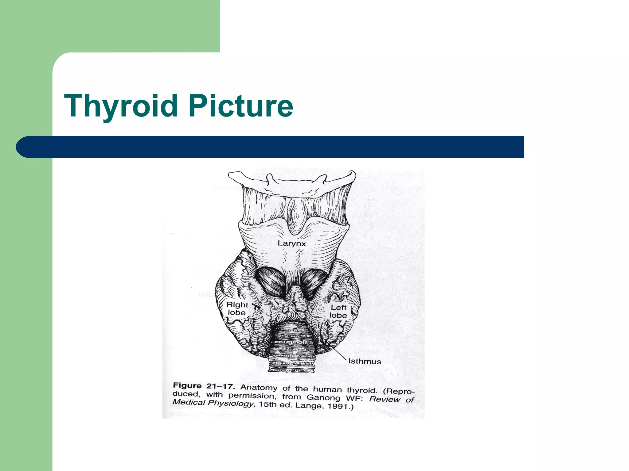 09 01 05 Entgr Management Of Well Differentiated Thyroid Cancer | PPT