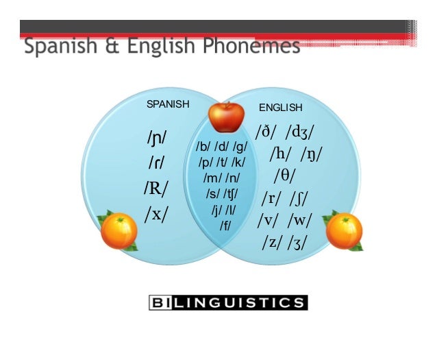 Typical Development In Bilinguals And Bilingual Assessment