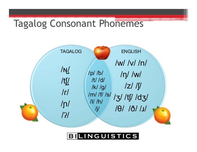 Typical Development in Bilinguals and Bilingual Assessment Typical Development in Bilinguals and Bilingual Assessment