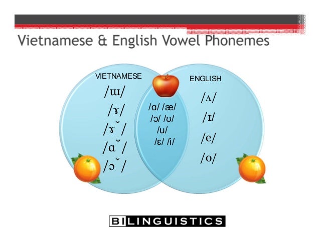 Typical Development in Bilinguals and Bilingual Assessment Typical Development in Bilinguals and Bilingual Assessment