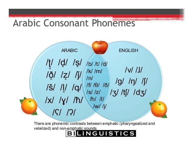 Typical Development in Bilinguals and Bilingual Assessment Typical Development in Bilinguals and Bilingual Assessment
