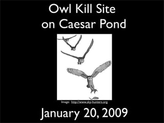 Owl Kill Site
on Caesar Pond




   Image: http://www.sky-hunters.org



January 20, 2009
 
