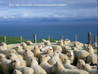 Bron: http://www.flickr.com/photos/barwell/67989987/ 