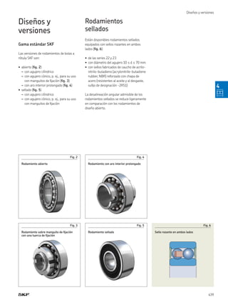 0901d19680416953-Rolling-bearings---17000_1-ES_tcm_201-121486.pdf