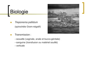 Biologie
 Treponema pallidum
(spirochète Gram-négatif)
 Transmission :
- sexuelle (vaginale, anale et bucco-génitale)
- sanguine (transfusion ou matériel souillé)
- verticale
 