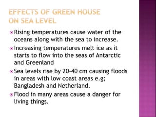  Rising temperatures cause water of the
oceans along with the sea to increase.
 Increasing temperatures melt ice as it
starts to flow into the seas of Antarctic
and Greenland
 Sea levels rise by 20-40 cm causing floods
in areas with low coast areas e.g;
Bangladesh and Netherland.
 Flood in many areas cause a danger for
living things.
 