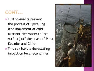  El Nino events prevent
the process of upwelling
(the movement of cold
nutrient-rich water to the
surface) off the coast of Peru,
Ecuador and Chile.
 This can have a devastating
impact on local economies.
 
