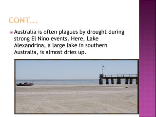  Australia is often plagues by drought during
strong El Nino events. Here, Lake
Alexandrina, a large lake in southern
Australia, is almost dries up.
 